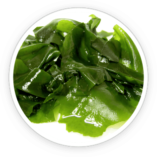 wakame